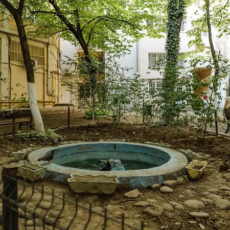 Old Town Historic With Backyard Mini Park